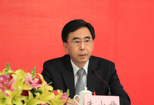 朱小丹治粵:操盤嶺南大地的不俗身段